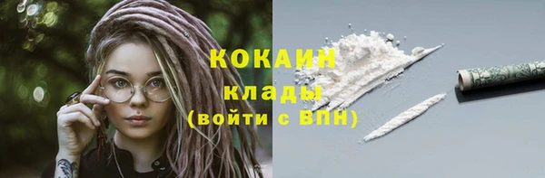 прущие грибы Россошь